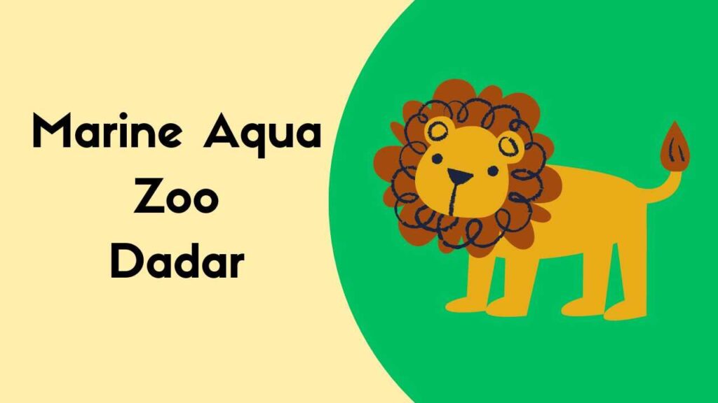All About Marine Aqua Zoo Dadar