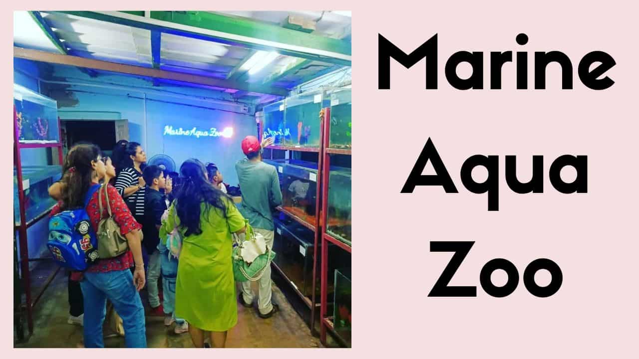 Marine Aqua Zoo Dadar Ticket Price